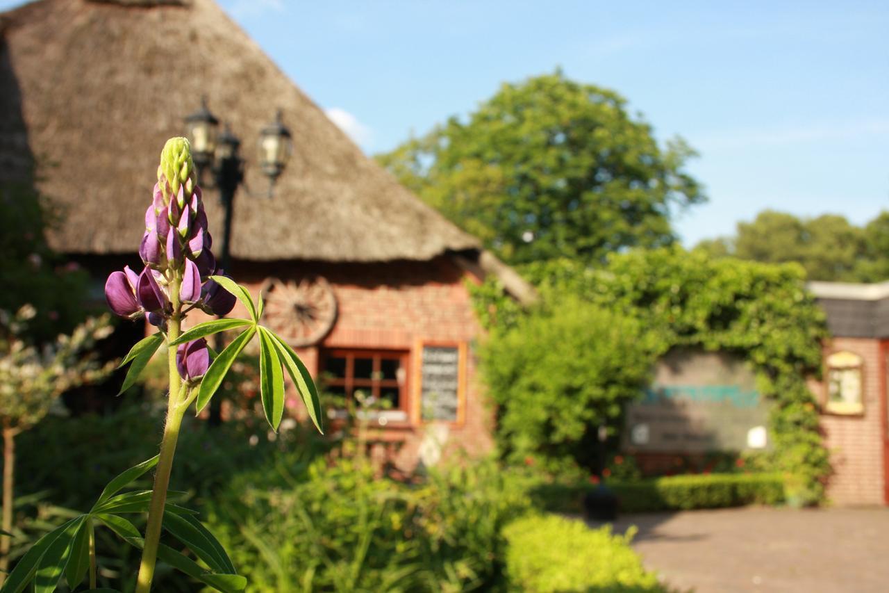 Готель Landhaus Absalonshorst Gross Gronau Екстер'єр фото