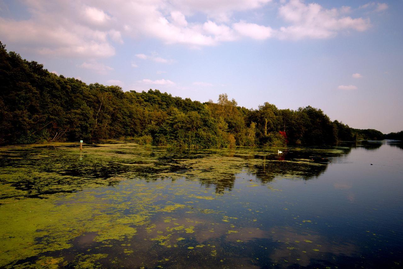 Готель Landhaus Absalonshorst Gross Gronau Екстер'єр фото